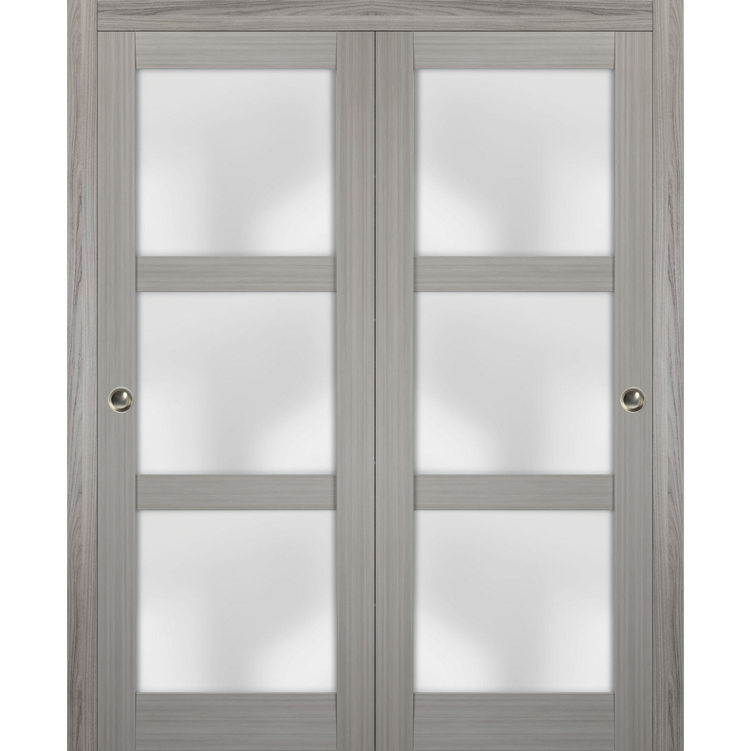 SARTODOORS Lucia Frosted Glass Sliding Closet Doors | Wayfair