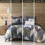 Édredon Mini - bleu marine, double / grand, imprimé coton, rembourrage, 2 taies décoratives pour une aventure pacifique-126359232-126359231