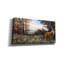  «King of the Blue Ridge» par Campbell Frost, art mural sur toile, 24 po x 12 po