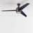 Eamon 52'' Ceiling Fan with LED Lights and Remote Control-1409839407