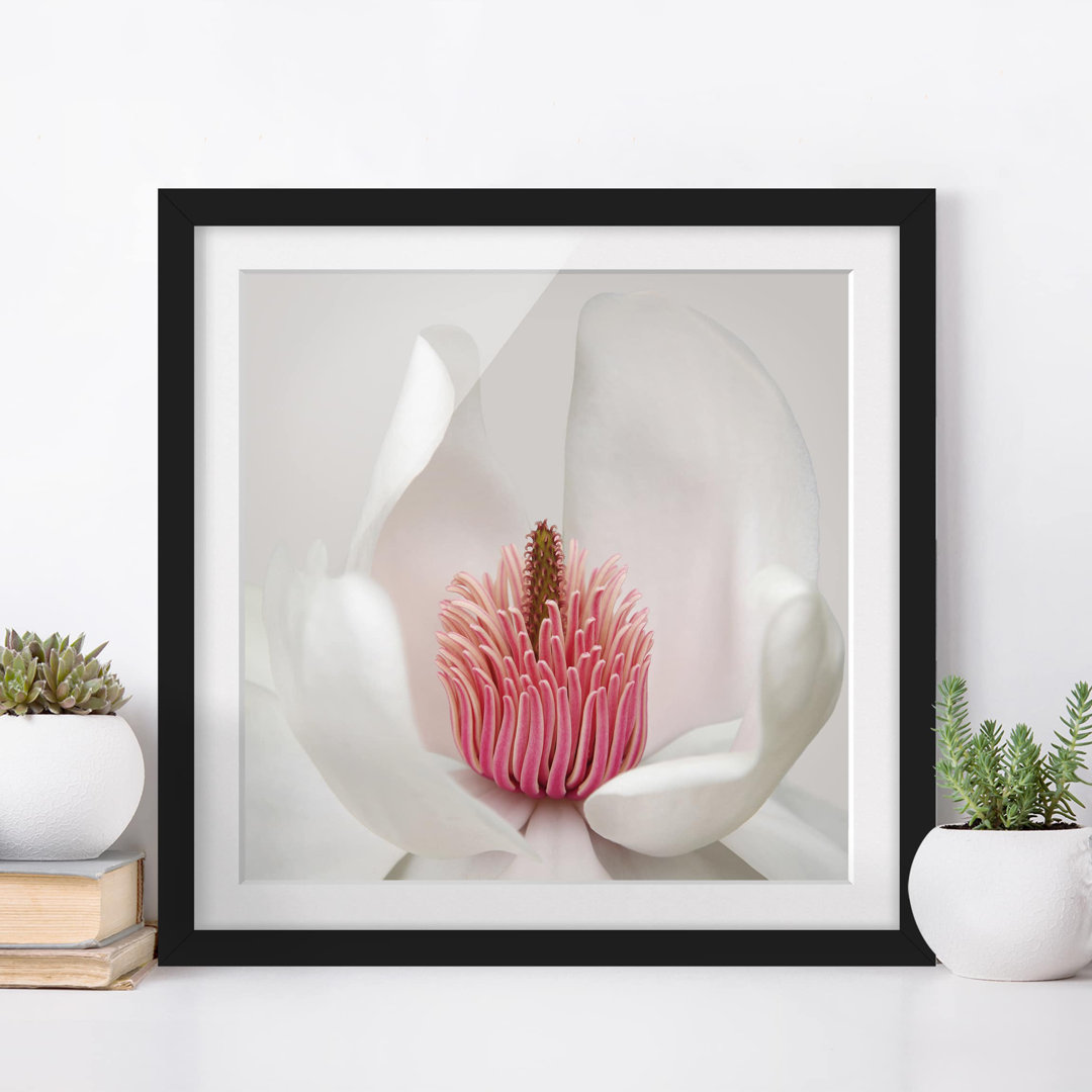 Gerahmtes Papierbild Magnolie in Rosa