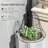 Shawdae Plant Support-1864135335