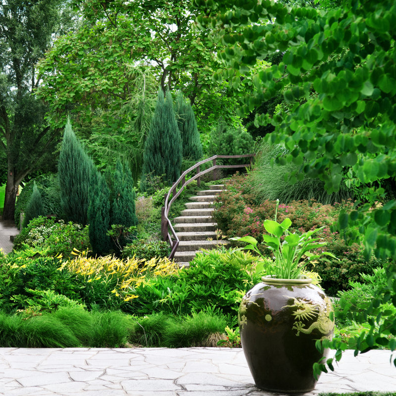 Cozy Park - Photographie sur toile tendue, H 12 po x l 12 po