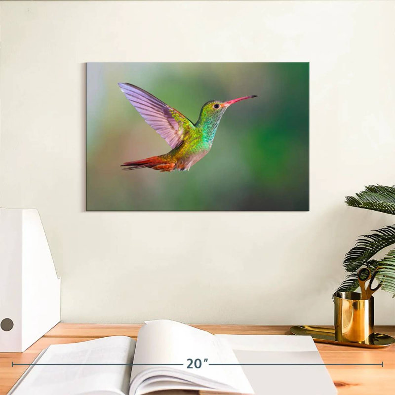 Iridescent Hummingbird, 8" H x 12" W