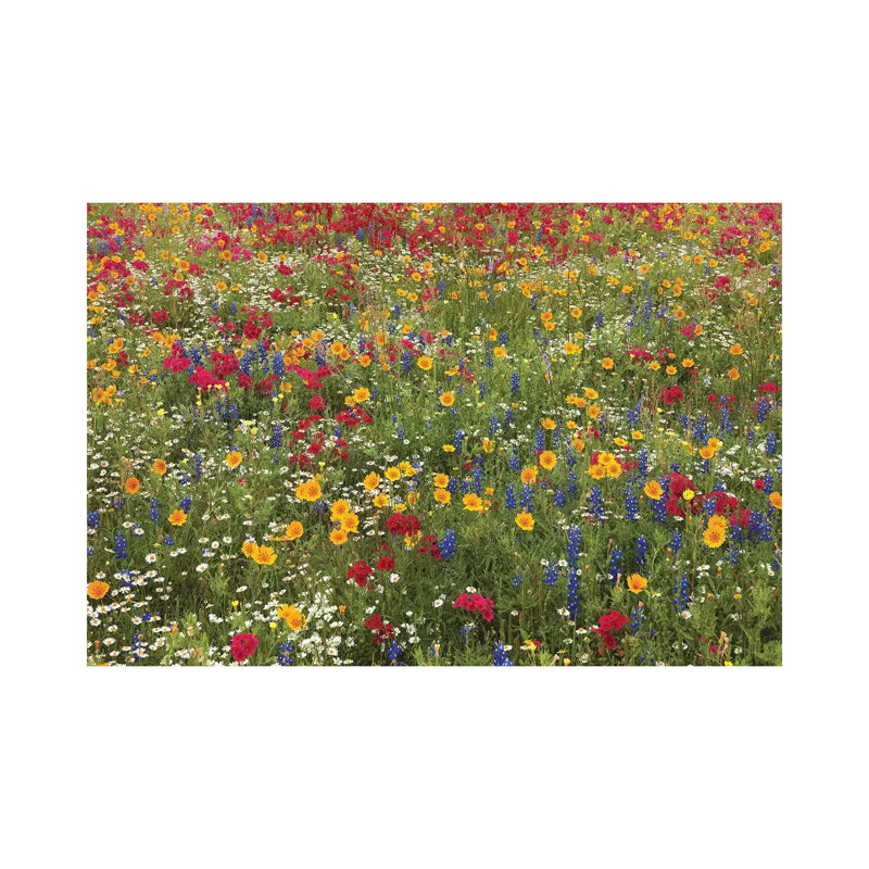 Drummond's Phlox, Bluebonnet Near Westhoff by Tim Fitzharris - Wrapped Canvas Print, 66.04 cm H x 45.72 cm W x 3.175 cm D