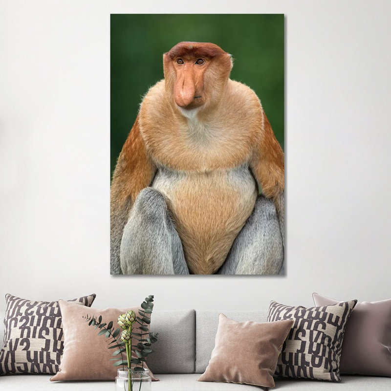 Proboscis Monkey Alpha Male Borneo by Mogens Trolle - Wrapped Canvas Print, 152.5 cm H x 101.5 cm W