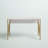 Juliet Metal Base Writing Desk-1972387408