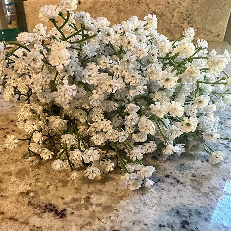 Souffle de bébé dans un vase