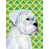 Boxer (blanc) sélectionné