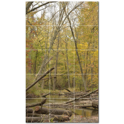 12 x 12