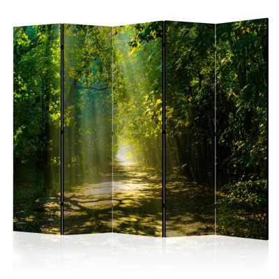 225cm W x 172cm H 5 - Panel Solid Wood Folding Room Divider