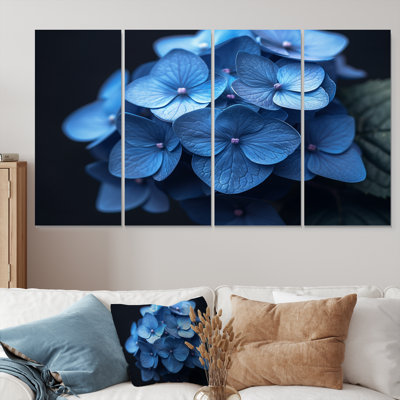 Nirvana bleu, bleu, hortensia