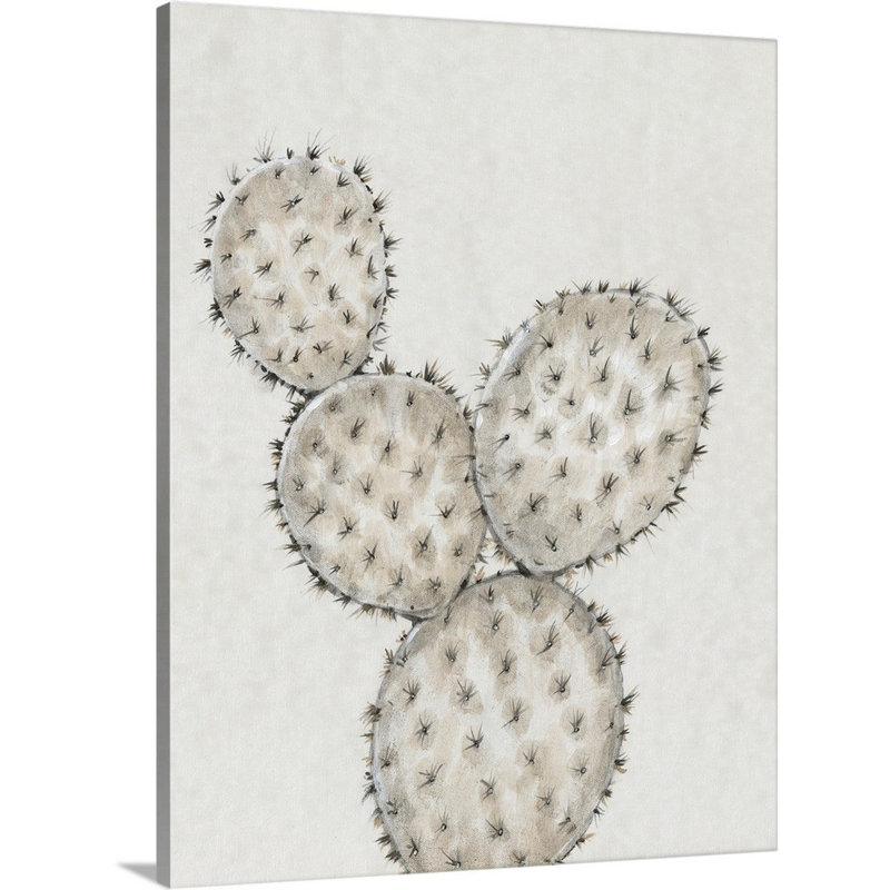 «Cactus Study IV» par Timothy O 'Toole - reproduction d'art sur toile, Toile tendue, H 20 po x l 16 po x P 1,25 po