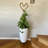 Set Of 2 Faux Rattan Tall Planters Outdoor Indoor Large Planters With Water Level Monitor Inner Bucket, Automatic Watering, Flower Plant Pots For Garden, Patio, Porch, Backyard (White, 22 Inch )-1200894566