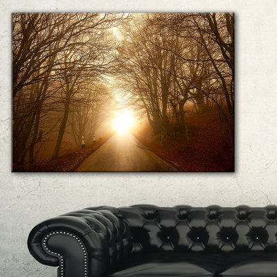 Path to Sunlight in Autumn Forest'Photograph