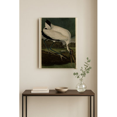 Ibis des bois (Plaque CCXVI) — Portrait en métal
