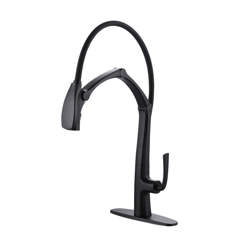 Single Handle Pull-Out Sprayer Kitchen Faucet With Magnetic Docking Spray Head, Matte Black