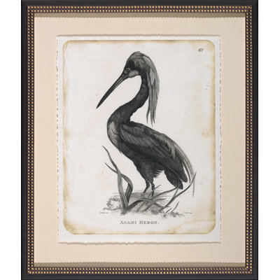 Agami Heron - Peinture encadrée sur papier