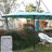 Patio Umbrella (Light Green)