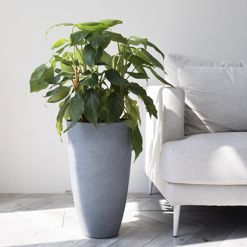 Pot à fleurs rond avec plateau Nova l 12 po, Gris, 1, H 20 po x l 11,5 po x P 11,5 po
