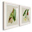 Impression encadrée Elegant Tropicals IPremium - prête à être accrochée-84878290-84878294-84713513