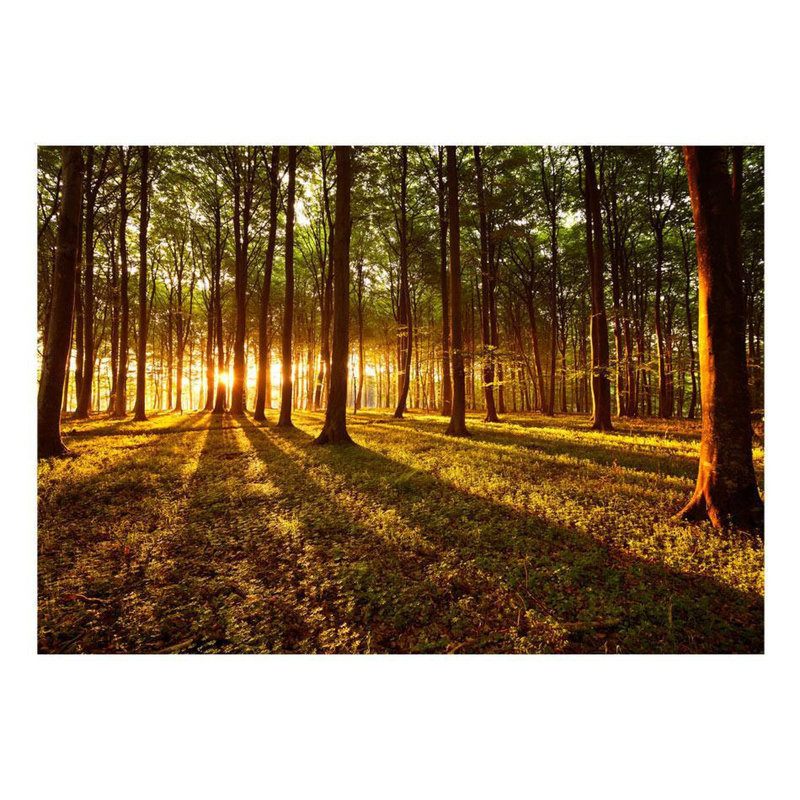 Adhésif mural matin d'été dans la forêt Eyvindur, L 68 po x l 96 po