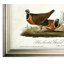 « volière sketch ii », impression-28043114-28043112-22188342