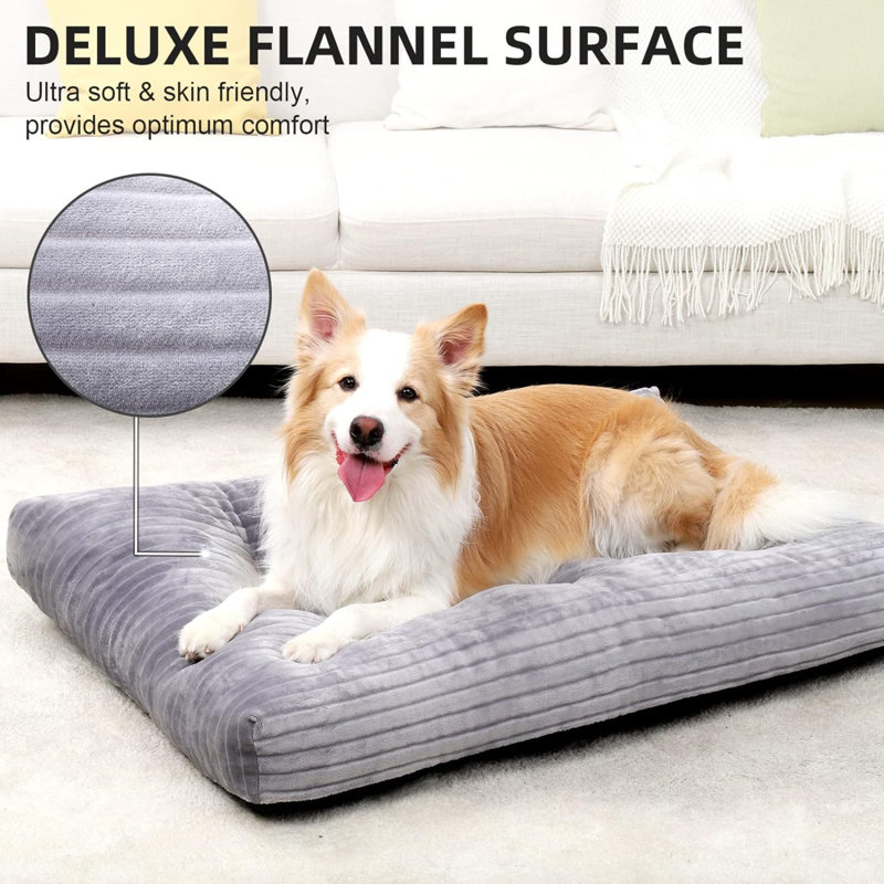Lits pour chien Eibhlis, H 3,5 po x l 23 po x P 35 po, Gris clair