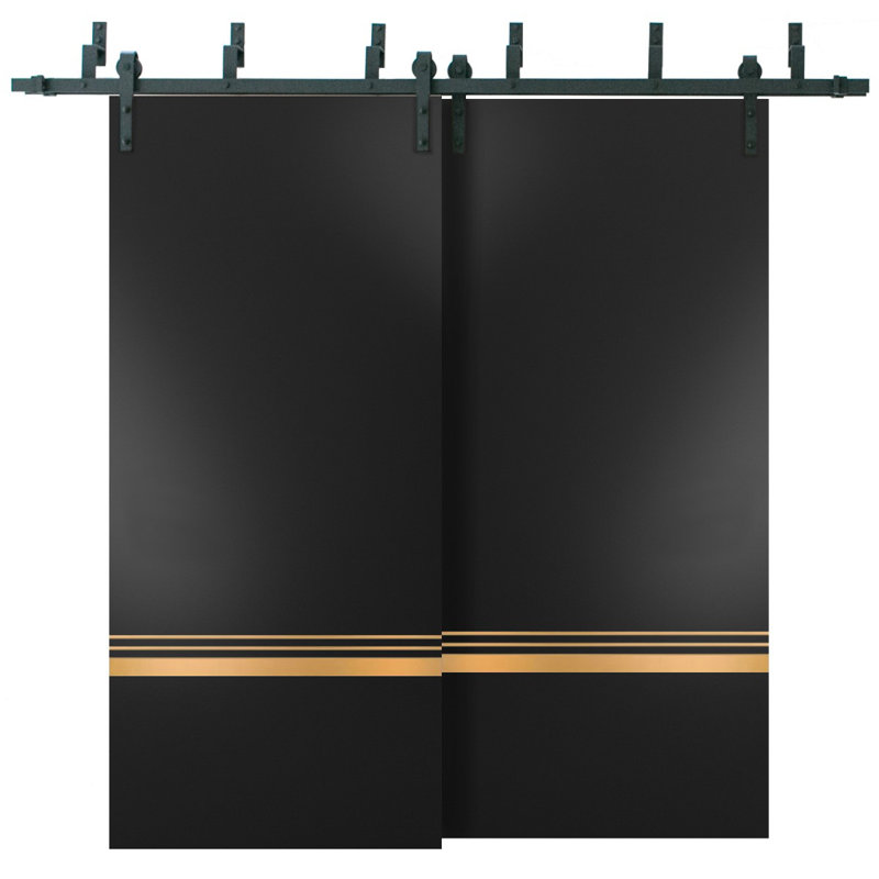 Porte de grange à panneaux en bois, Noir mat, 36 po x 84 po