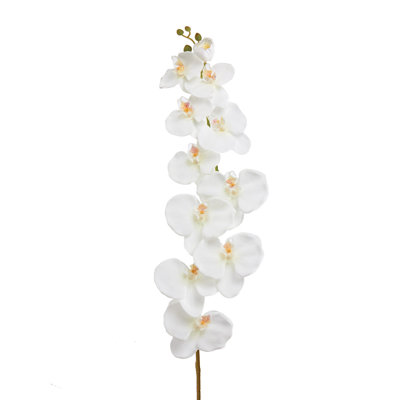 Silk Orchids Arrangement