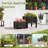 Geana Elevated Planter-475801496