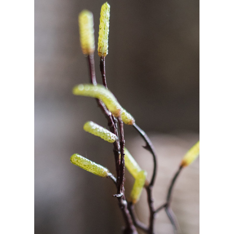 Branch, 41.7" H x 6" W x 6" D