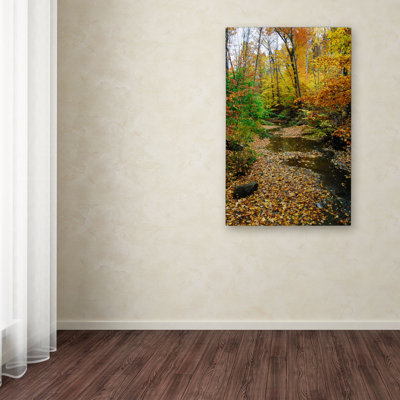 Cattima 'Autumn Stream' Photographic Print on Canvas