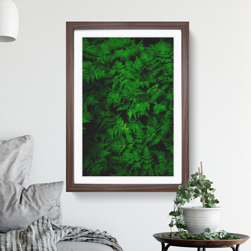 Fern Leaves Vol.3 - Framed Print, Walnut Framed, 65cm H x 48cm W x 2cm D