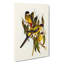 Browns Parakeets by Elizabeth Gould - Wrapped Canvas-55362851