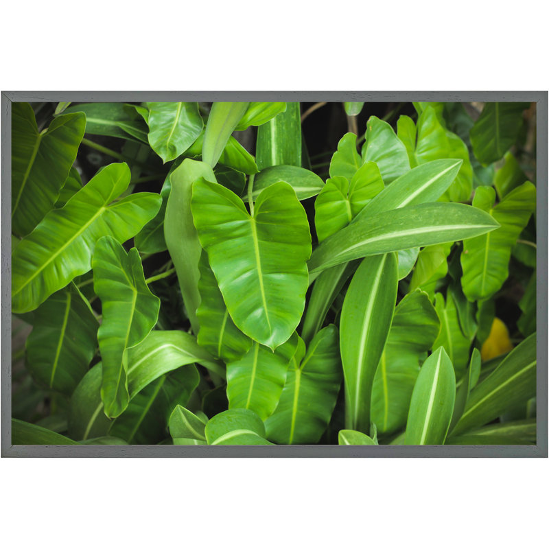 Dagoberto Abstract Background Of Dark Green Leaves - Single Picture Frame Print, 76cm H x 114cm W x 4cm D, Grey Framed