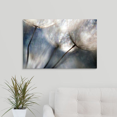 «Carefree» par Ursula Abresch, reproduction sur toile