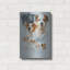 «Jack Russell and Ghost» par Barbara Keith-1432894405