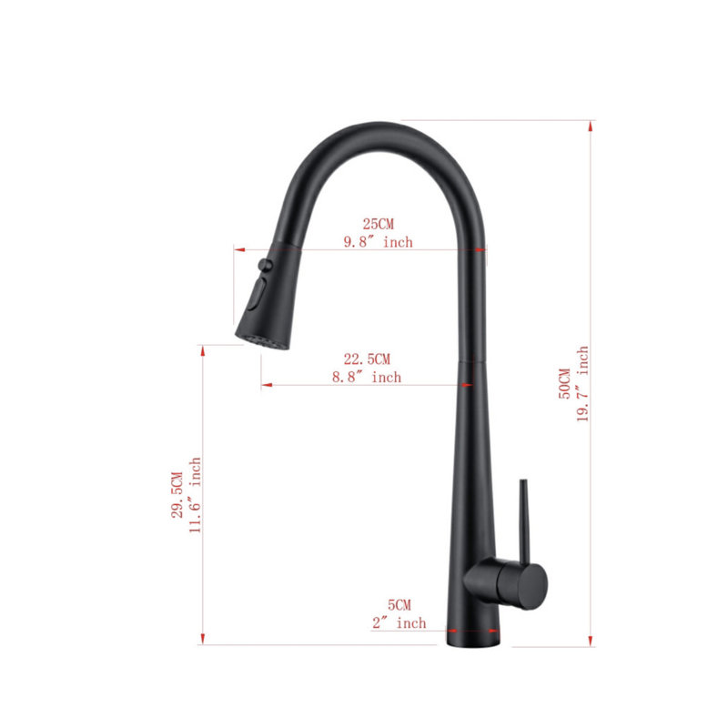 Robinet de cuisine AvaMalis, Chrome brossé