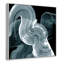 «Swirl II Print» par Casa Fine Arts-99322390-99322396