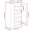 12 Pair Shoe Storage Cabinet