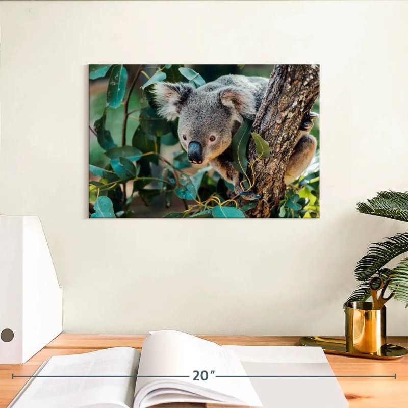 Australia Koala, 8" H x 12" W