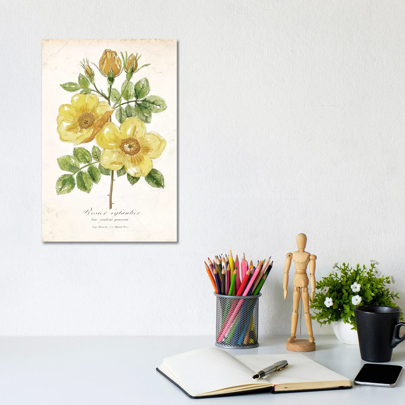 Botanical IV by Nan - Wrapped Canvas Painting, 20.32 cm H x 30.48 cm W
