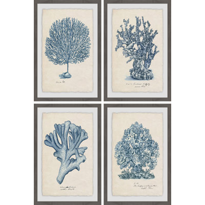 «Sea Coral Study Quadritych», ensemble de 4 reproductions d'art encadrées