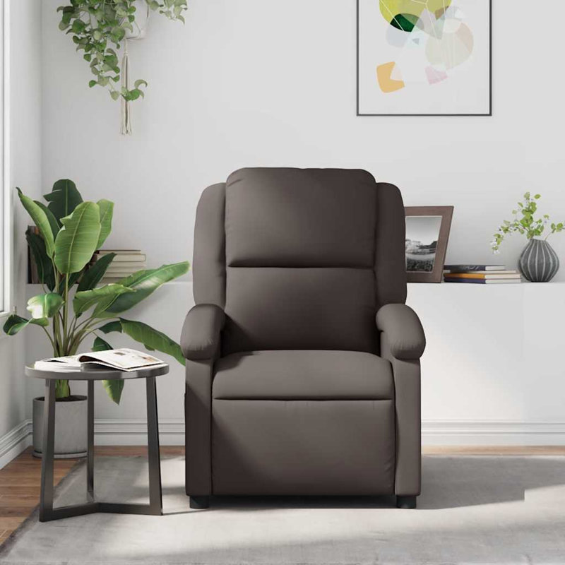 Fauteuil inclinable brun moyen en cuir véritable et en métal contreplaqué, Brun
