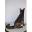 Statue de renard assis en bronze, sculpture de Massillon, art décoratif de qualité musée, L 23 po x l 17 po x H 20 po