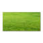 50cm W x 100cm L Glass Peel and Stick Panel