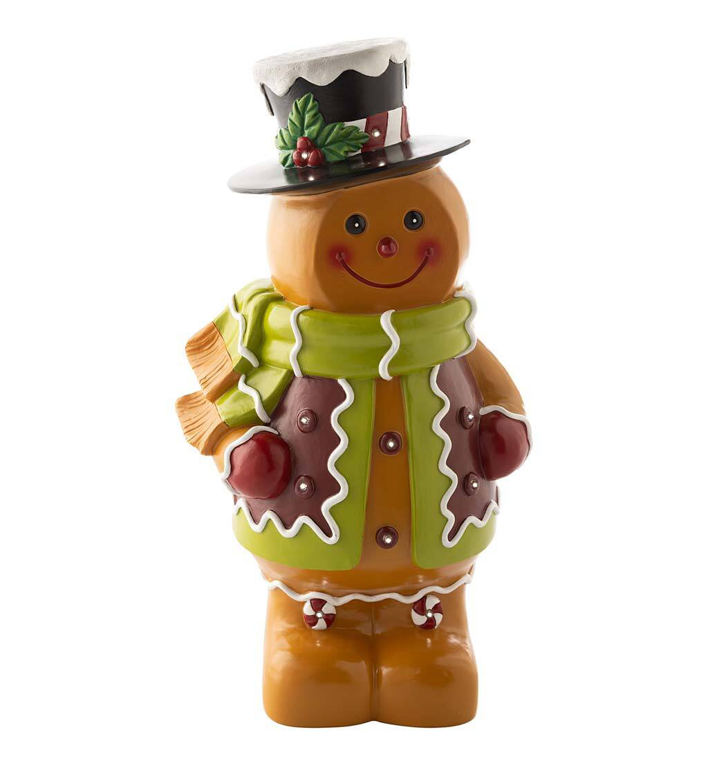 https://assets.wfcdn.com/im/05570288/compr-r85/2230/223035263/lighted-gingerbread-boy-shorty-statue.jpg