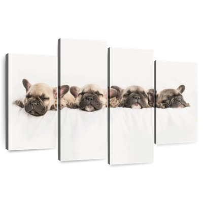 Brampt Napping French Bulldogs