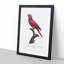 Violet-Necked Lory by F. Levaillant - Picture Frame Painting Print-55605545-55605546
